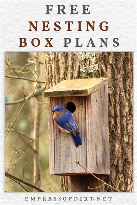 Image result for Bird Nesting Boxes Plans