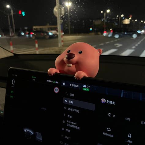 Car Screen Ornaments – flyingcarts