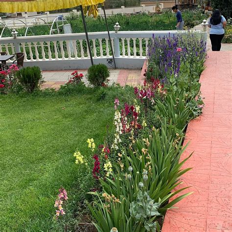 MAHEY RETREAT (Leh, Ladakh) - Hotel Reviews & Photos - Tripadvisor