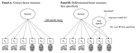 Reflections and New Perspectives on Face Cognition as a Specific Socio ...