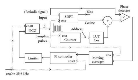 Image result for Phase of Locking Structure