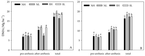 Effects of Drip Tape Layout and Flow Rate on Water and Nitrogen ...
