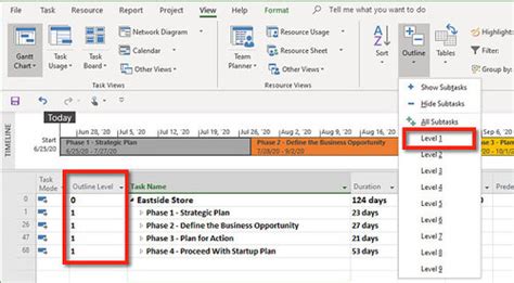 Image result for MS Project Work Breakdown Structure
