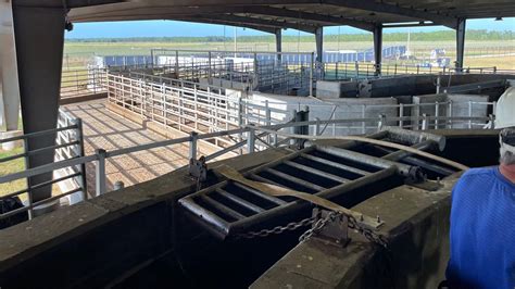 Fort McCoy Meat gets local grown beef into the community