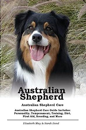 Australian Shepherd. Australian Shepherd Care. Australian Shepherd Care ...