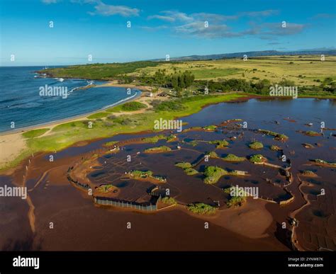 Sea Salt, Farm, Salt Pond Beach Park, Hanapepe, Kauai, Hawaii Stock ...
