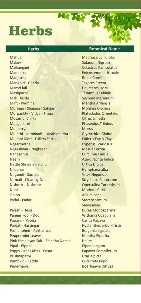 Herbal Roots - Asparagus Racemosus Roots Manufacturer from Neemuch