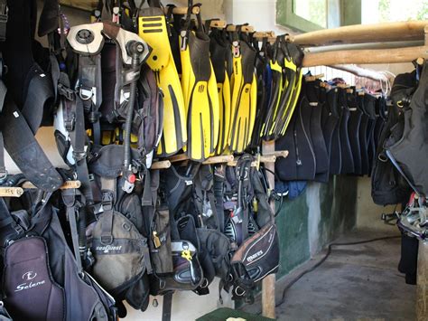 DEVOCEAN DIVING (2025) All You Need to Know BEFORE You Go (with Photos ...