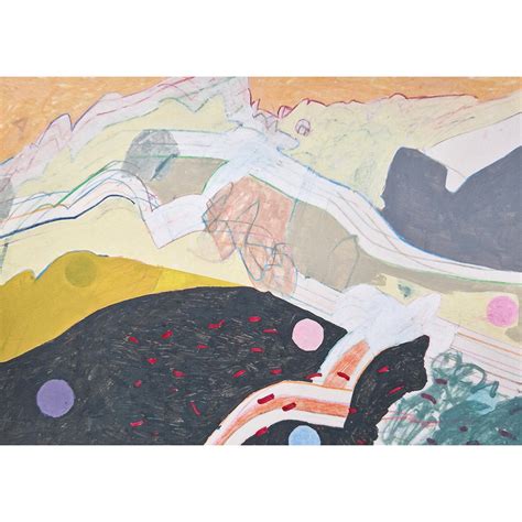 Evolutionary Landscape 的图像结果