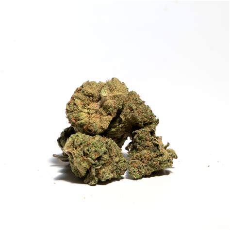 Grease Monkey Strain: A Powerful Hybrid for Relaxation and Focus ...