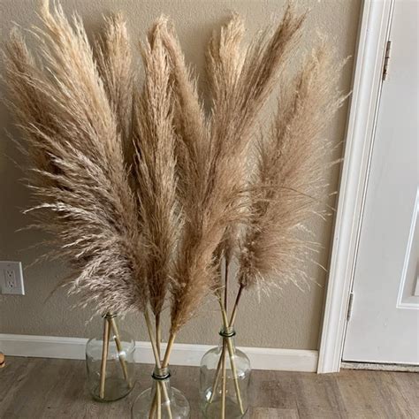 3 stems Extra Large Dried Pampas Grass 48" For Interior Decor: Buy ...