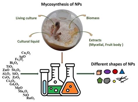 Diversity of Mycogenic Oxide and Chalcogenide Nanoparticles: A Review