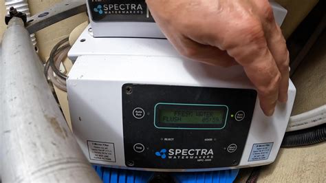 The Lazy Geckos Brittany Onlyfans