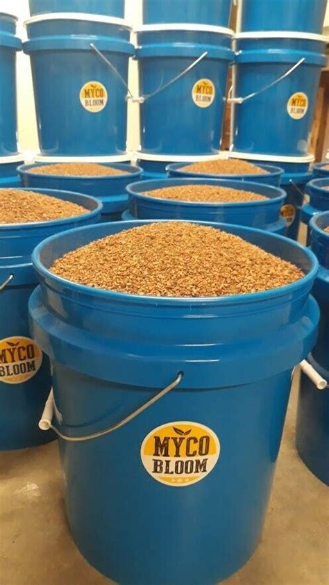 Mycorrhizae fungal species mix 2-50 lb- mycorrhizal | Ubuy India