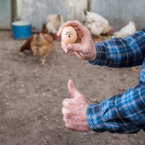 Buy Egg Stamper for Chicken Eggs, Egg Stamps for Fresh Eggs, Farm Fresh ...