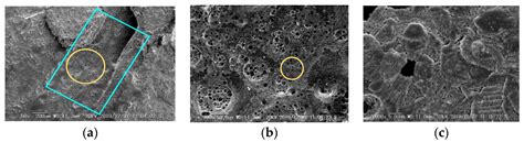 Investigation of Impulse Aging of Energy-Absorption Elements for Hybrid ...