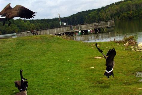 Elizabethtown Tourism (2022): Best of Elizabethtown, KY - Tripadvisor