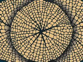 MKR018 | Murals Series Texture Look 50 inches Premium Paper (Customized ...