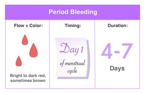 Spotting vs. Period & More: Causes and Differences of Bleeding ...