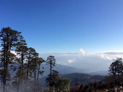 DOCHULA RESORT (Punakha) - Resort Reviews & Photos - Tripadvisor