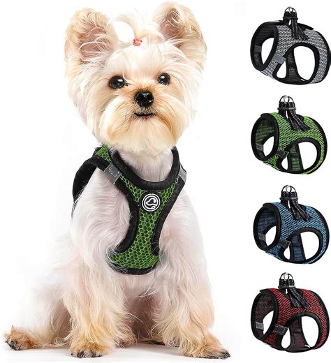 Amazon.com : No Pull Small Dog Harness Tiny Dog Harness for Small Dogs Cats Chihuahua Harness ...