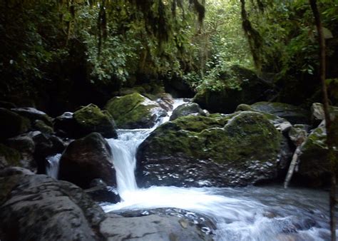 Bocono Tourism (2023): Best of Bocono, Venezuela - Tripadvisor