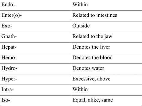 Medical Terminology | PPT