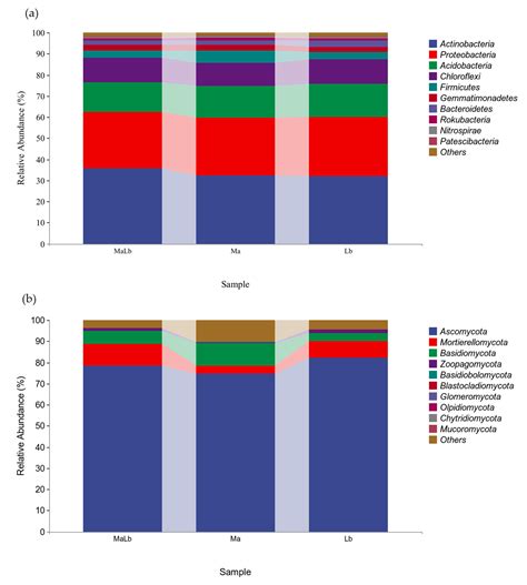 Effects of Intercropping between Morus alba and Nitrogen Fixing Species ...