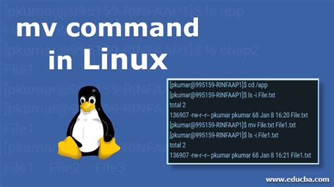 MV Command Linux 的图像结果