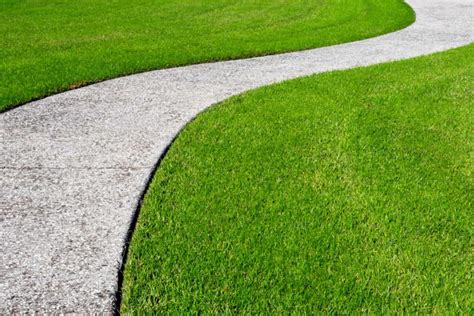 These 8 Fast-Growing Grasses Will Transform Your Lawn Into A Green Paradise