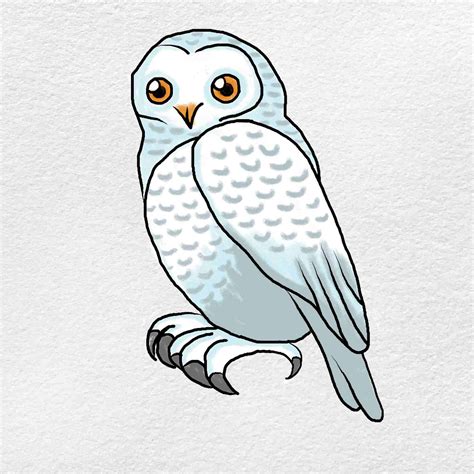 Simple Flying Owl Drawings