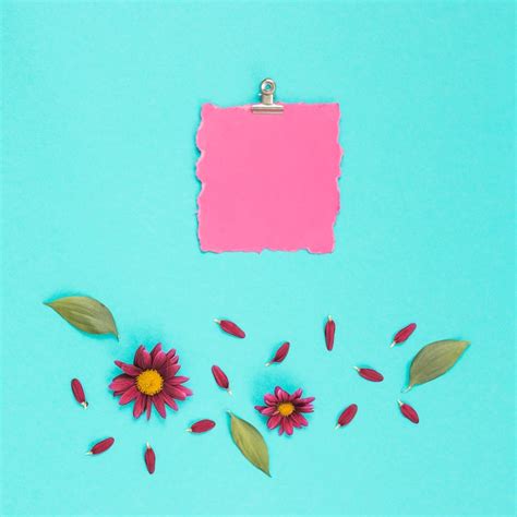 Plaquinha papel Imagens – Download Grátis no Freepik