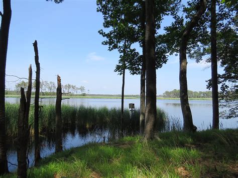Blackwater River from newly-acquired land | FWS.gov