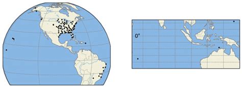 The GPM Validation Network and Evaluation of Satellite-Based Retrievals ...