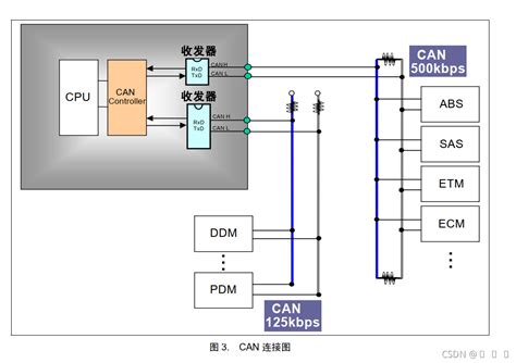 Dual Can Local Connection 的图像结果