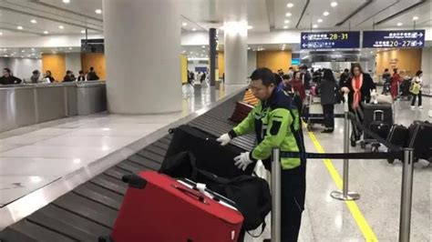 旅行作家点赞魔都！在浦东机场，行李箱被这样“温柔以待”
