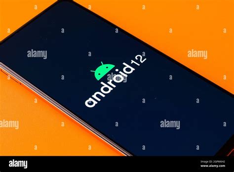 Image result for Android 12 Logo