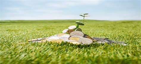 RD Rural Microfinance Pvt ltd.
