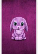 Image result for Pet Baby Bunny
