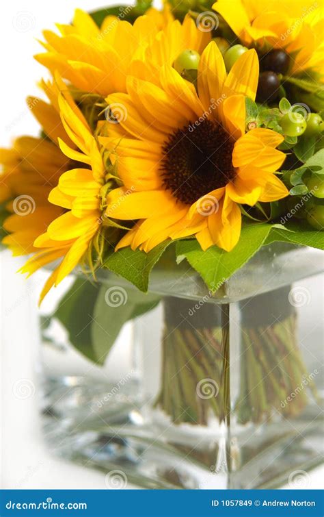 Sunflowers in Vase stock image. Image of vase, peaceful - 1057849