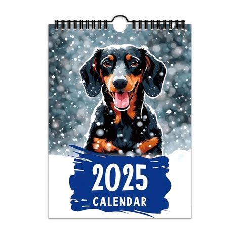 Ein Dackel Kalender 2025 Neu Lustiger Hunde Wandkalender, Wandplaner ...