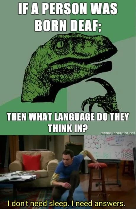 21 Questions Meme 的图像结果