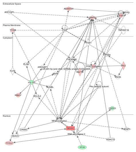 Dehydro-Tocotrienol-β Counteracts Oxidative-Stress-Induced Diabetes ...