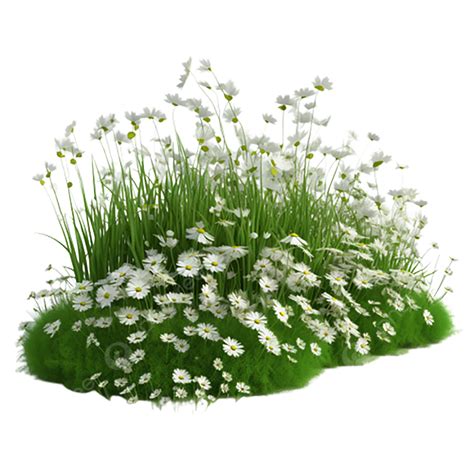 Grass Flower Png Grass With Flowers On Ground PNG Images & PSDs For