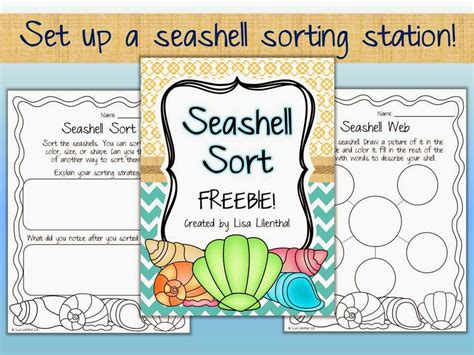 Seashell Sorting Activity 的图像结果