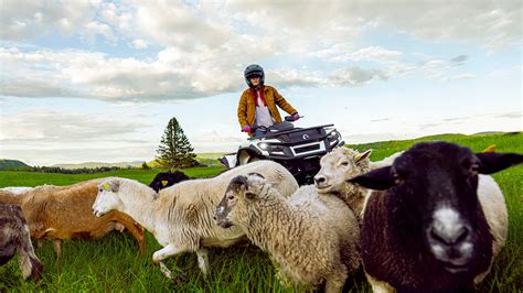 Electric All-Terrain Vehicles (ATV) - Can-Am Off-Road