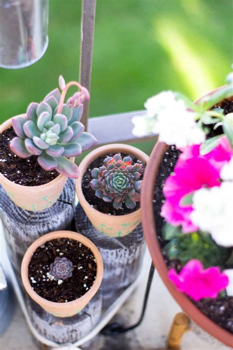 Spring Decor Outdoor 的图像结果