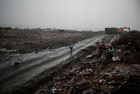 Waste collectors look for recyclable materials at a landfill site ...