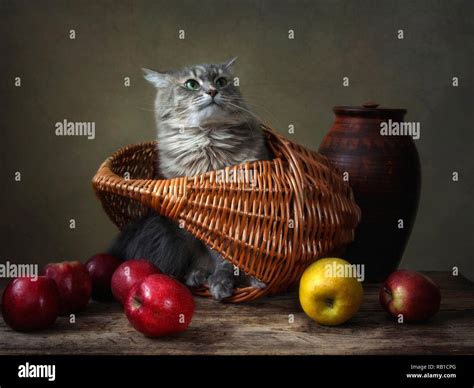 Still life with apples Stock Photo - Alamy