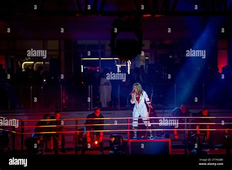 Rezultat imagine pentru Formula Libre Build